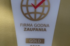 19-2017-Statuetka-FGZ-Gold